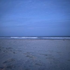 Meet your Posher, Tricia